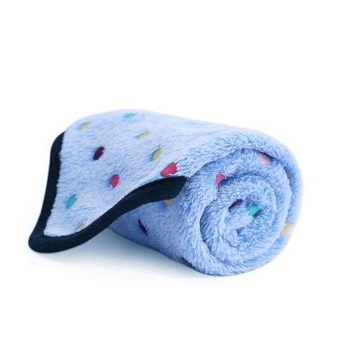 10 Best Dog Blankets UK for 2024 Our Expert