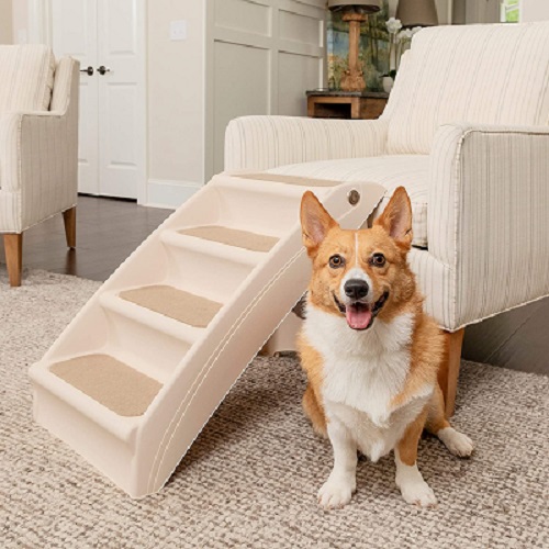 PetSafe Dog Stairs and Steps Review