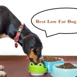 Best Low Fat Dog Foods