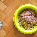 Best Wet Dog Foods