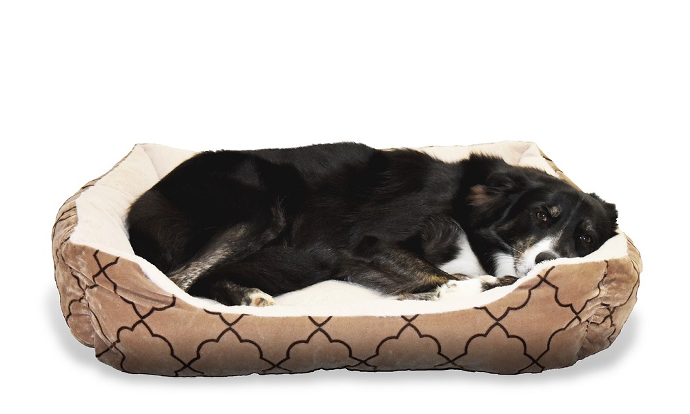 Make a Dog Bed Waterproof