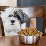 Best High Fiber Dog Food UK