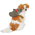 Are Dog Backpacks Cruel