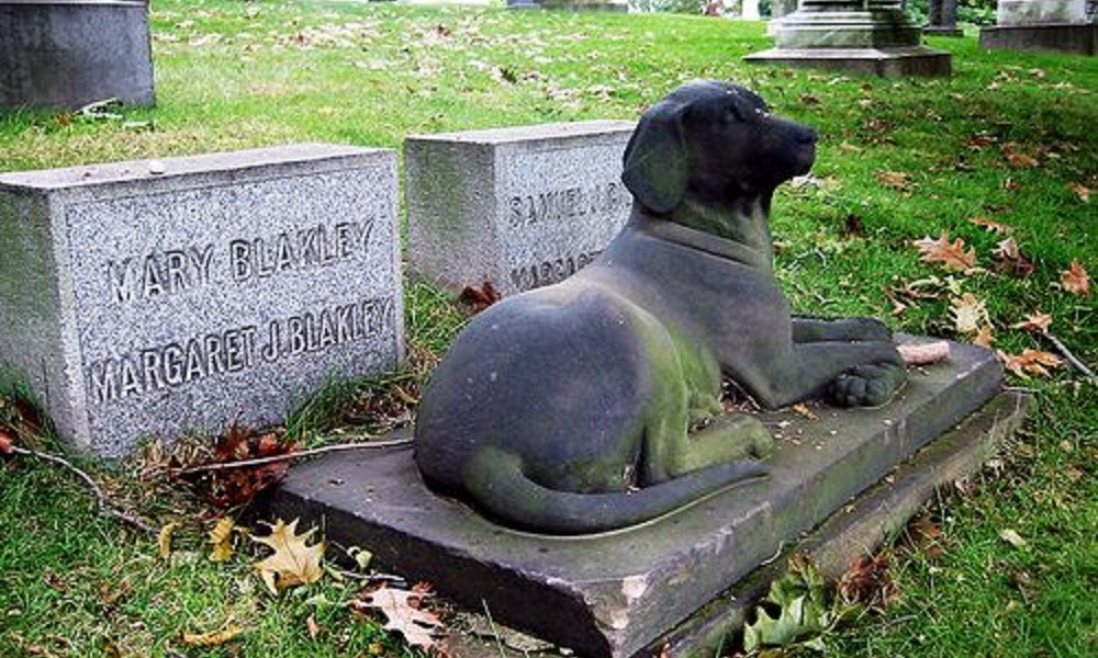 Are Dogs Allowed in Graveyards