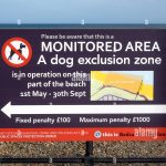 Are Dogs Allowed on Saltburn Beach