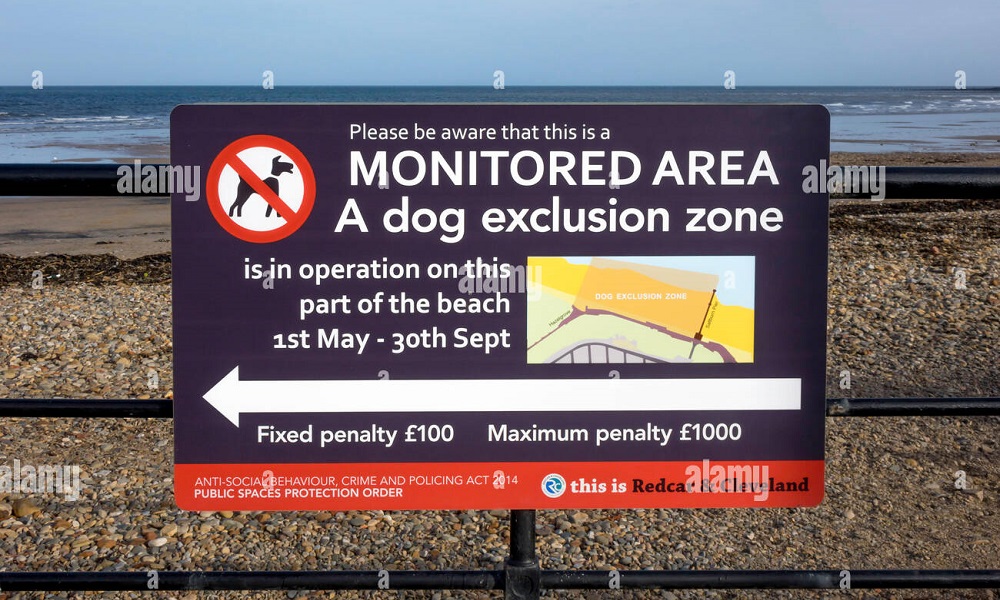 Are Dogs Allowed on Saltburn Beach