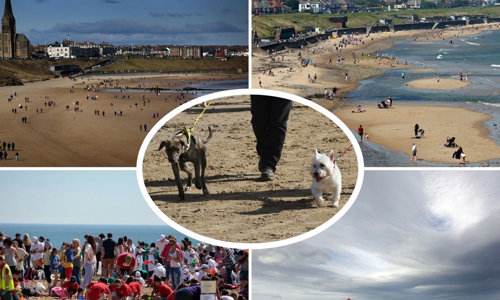 Are Dogs Allowed on South Shields Beach