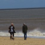 Are Dogs Allowed on Southwold Beach