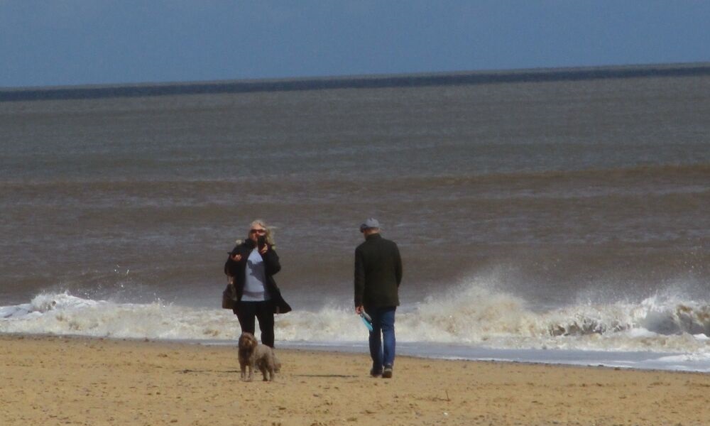 Are Dogs Allowed on Southwold Beach