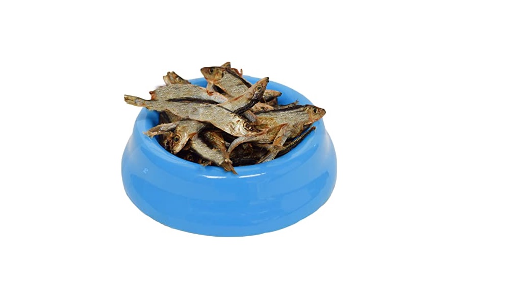 Are Dried Sprats Good for Dogs