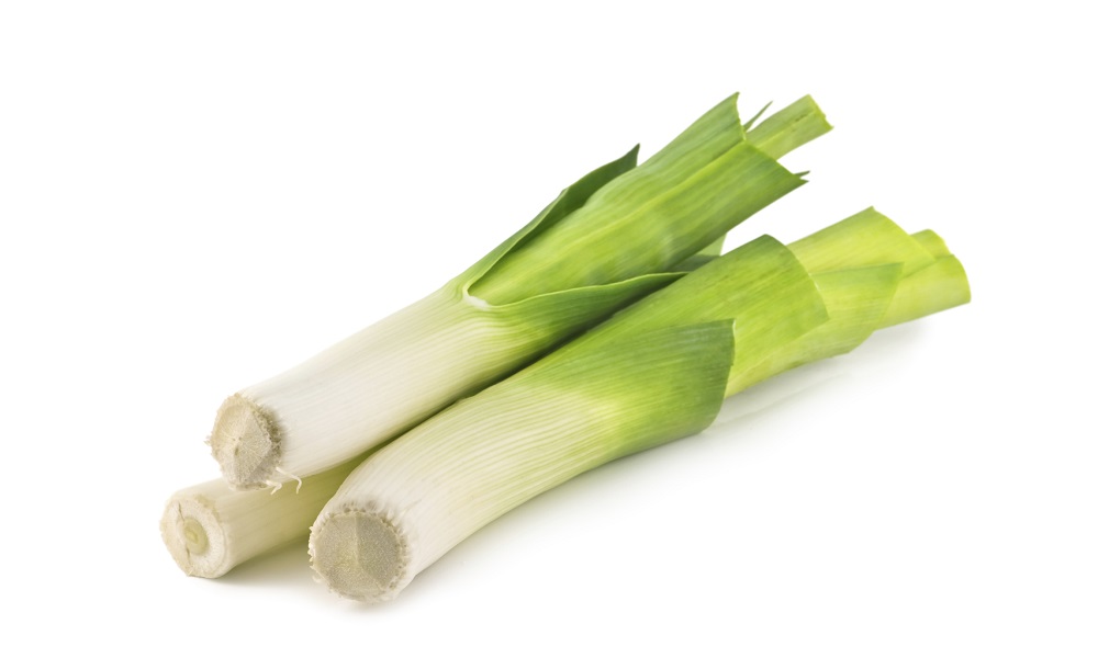 Are Leeks Poisonous to Dogs