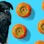 Are Persimmons Bad for Dogs