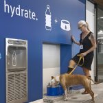 Are Post Offices Dog-Friendly Uk