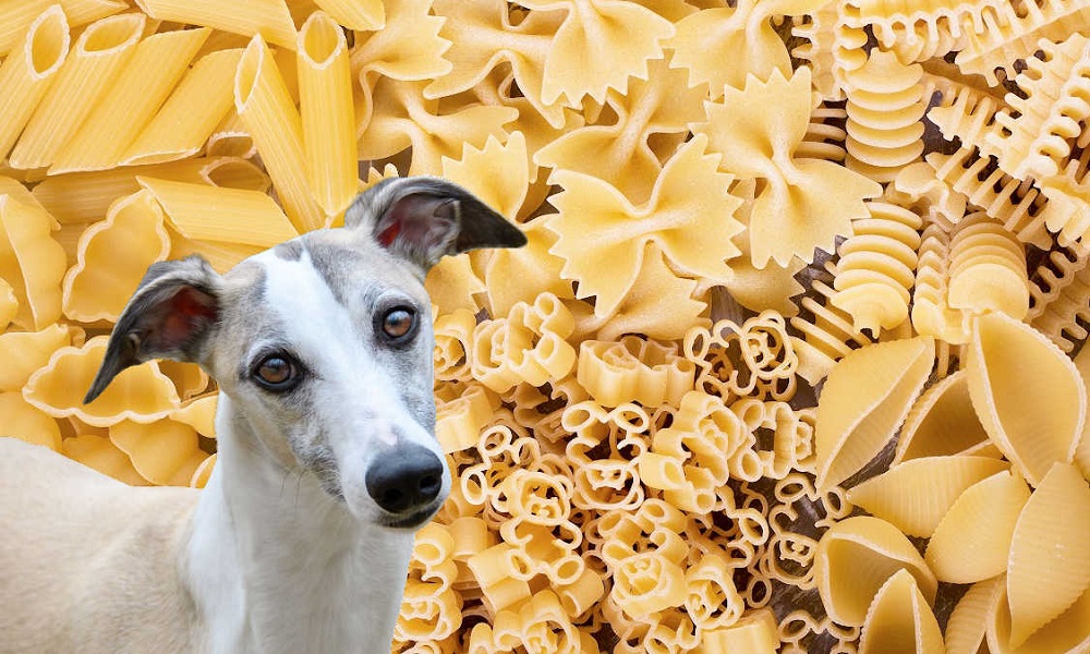 Can Dogs Eat Dry Pasta
