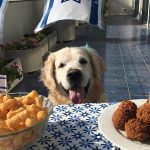 Can Dogs Eat Falafel