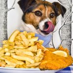 Can Dogs Eat Fish And Chips