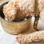 Can Dogs Eat Hot Temperature Food