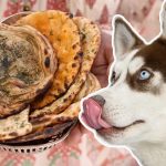Can Dogs Eat Naan Bread