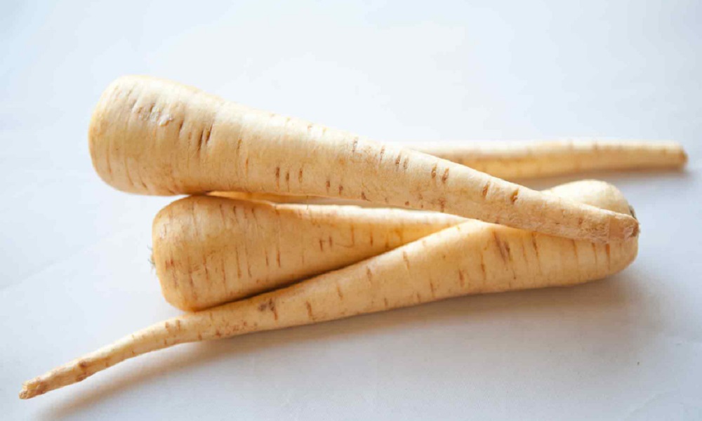 Can Dogs Eat Parsnips