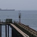 Can Dogs Go on Southend Pier