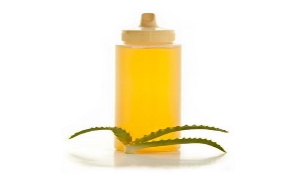 Can Dogs Have Agave Syrup Pet Help Reviews UK