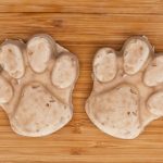 Can Dogs Have Orange Ice Lollies