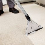Can Professional Carpet Cleaners Remove Dog Urine