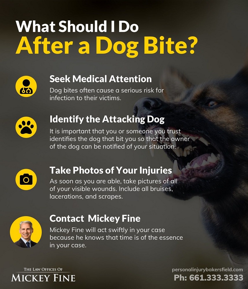 Can You Claim Compensation for a Dog Bite