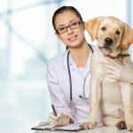 Can You Get Dogs Anal Glands Removed