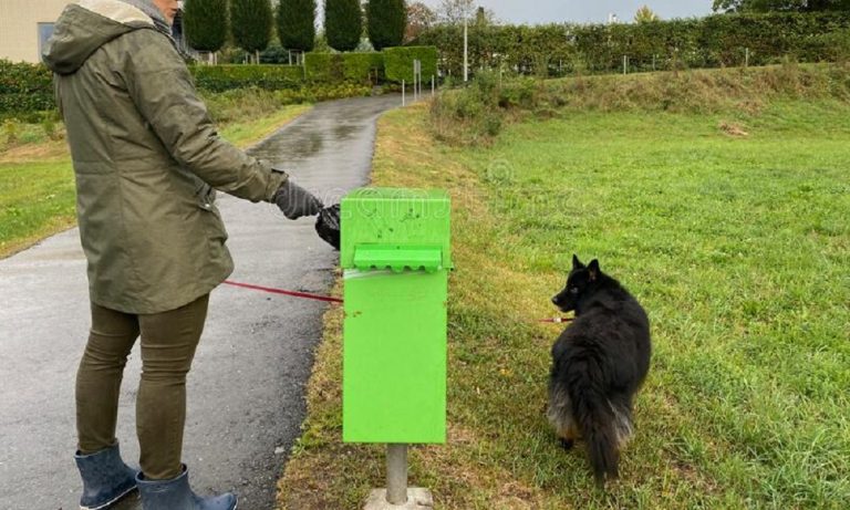 Can You Put Cat Poo In The Bin