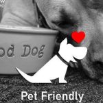 Can You Take Dogs to Bluestone