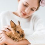 Can You Use Dog Shampoo on Rabbits