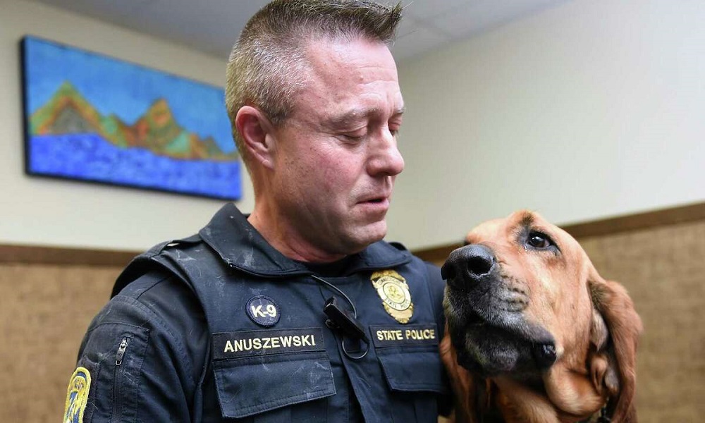 Do Police Dogs Get Paid