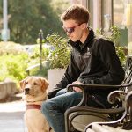 Does Residential Dog Training Work