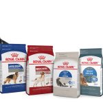 How Much is Royal Canin Dog Food