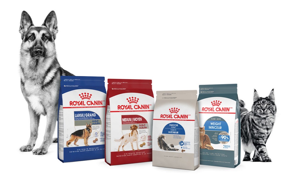 How Much is Royal Canin Dog Food