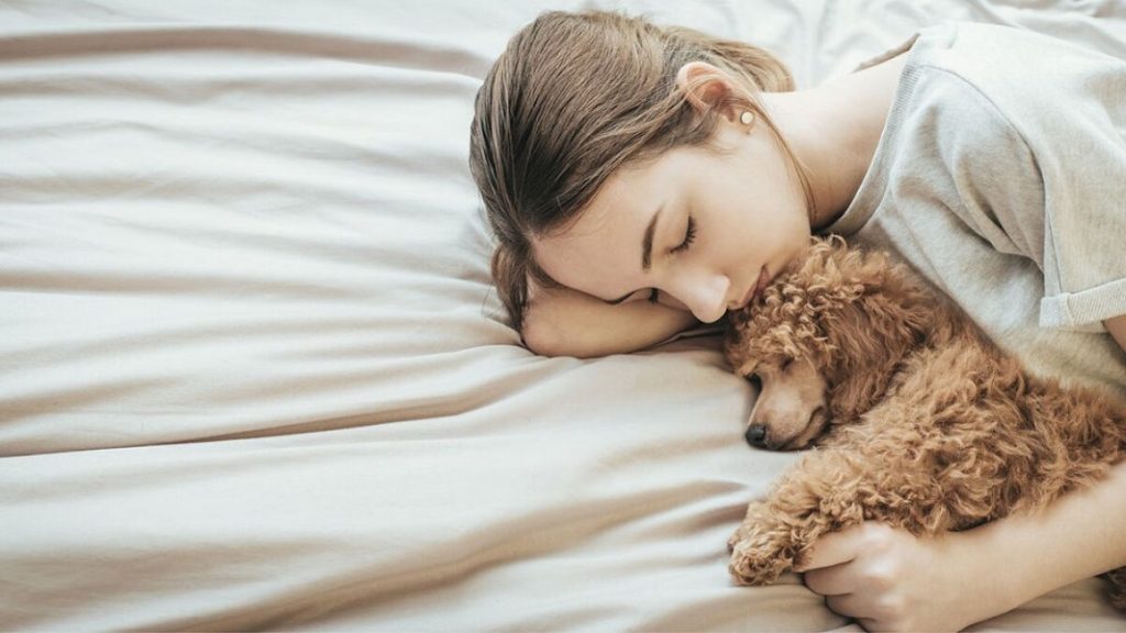 How Much to Have a Dog Put to Sleep Uk