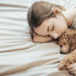 How Much to Have a Dog Put to Sleep Uk