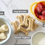 How to Make Dog Ice Lollies