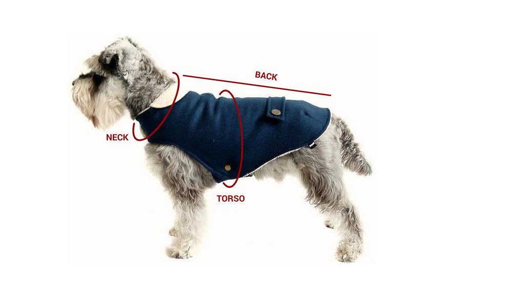 How to Measure Dog for Coat