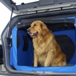 How to Secure Dog in Cargo Area of Suv