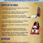 How to Start a Dog Sitting Business Uk