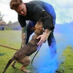 How to Train a Dog With High Prey Drive Uk