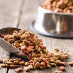 Is Bakers Dog Food Good for Your Dog