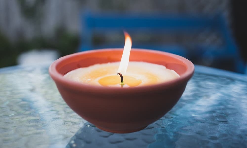 Is Citronella Candle Safe for Dogs