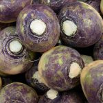 Is Swede Ok for Dogs