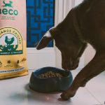 What Does Hypoallergenic Dog Food Mean
