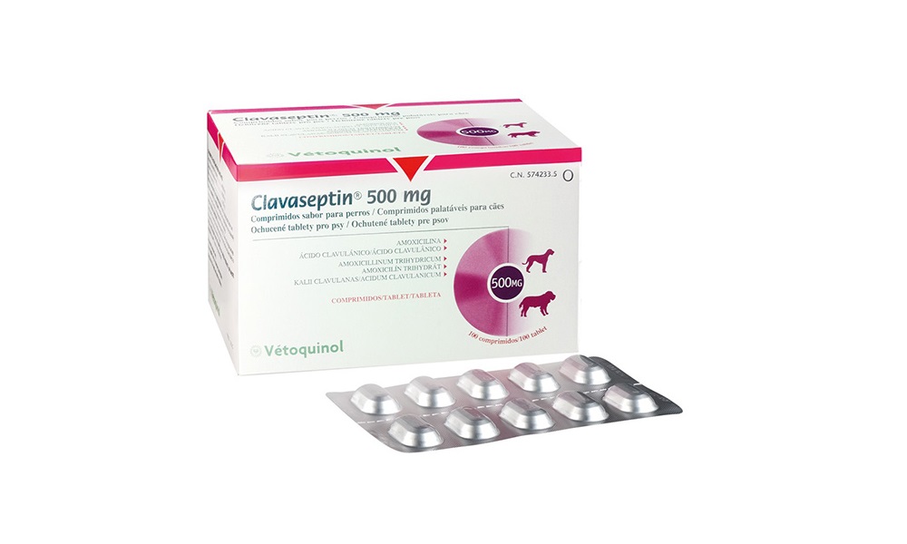 What is Clavaseptin 500Mg for Dogs