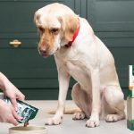 Who Makes Winalot Dog Food