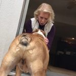 Why is My Dogs Balls Peeling